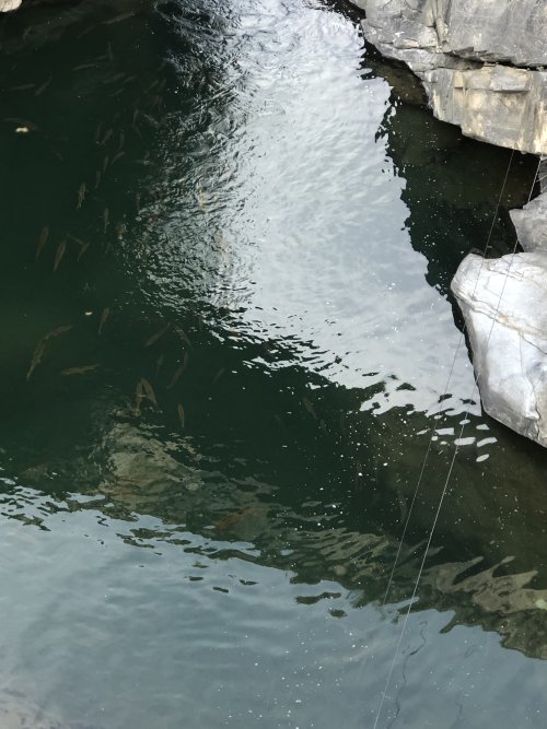 Shimla lake view