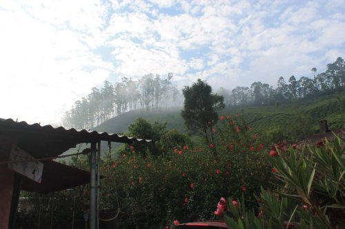 Mountain Pictures, Kerala