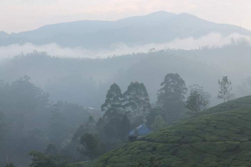 Vagamon, Kerala