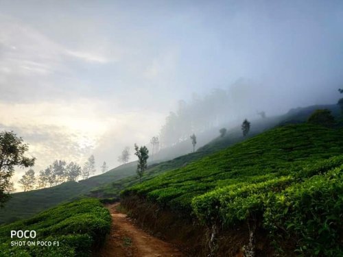 Coorg, KA