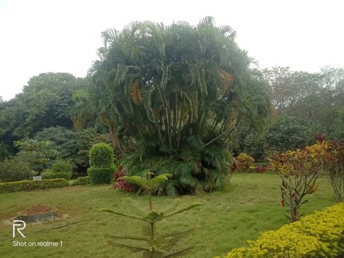 Coorg, KA